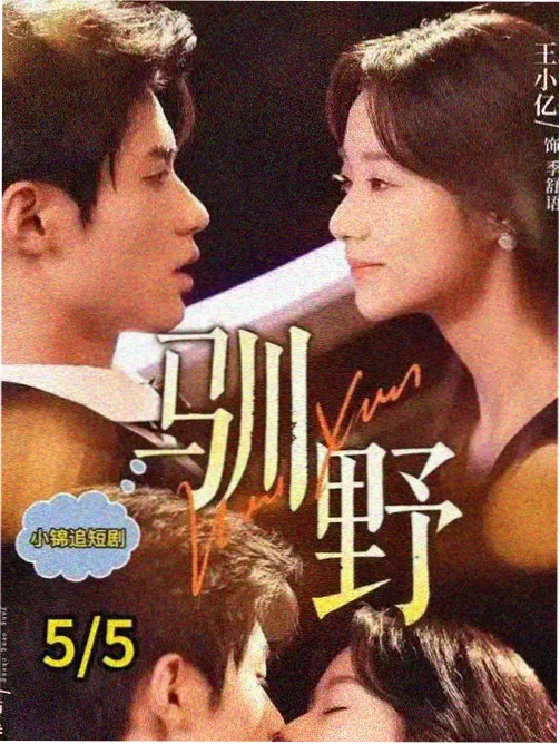 在线观看免费高清韩剧 命运交叉点